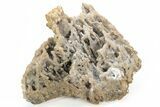 Sparkly Calcite & Aragonite Stalactite Formation - Morocco #216928-2